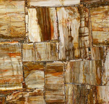 Самоцвет Retro Petrified Wood (Ретро Петрифайд Вуд)-купить в СПБ, Alpha Stone